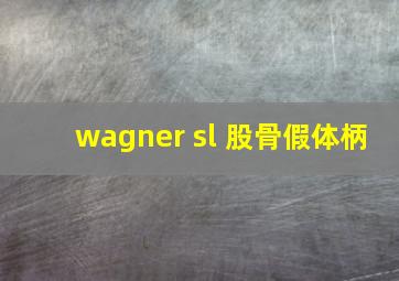 wagner sl 股骨假体柄